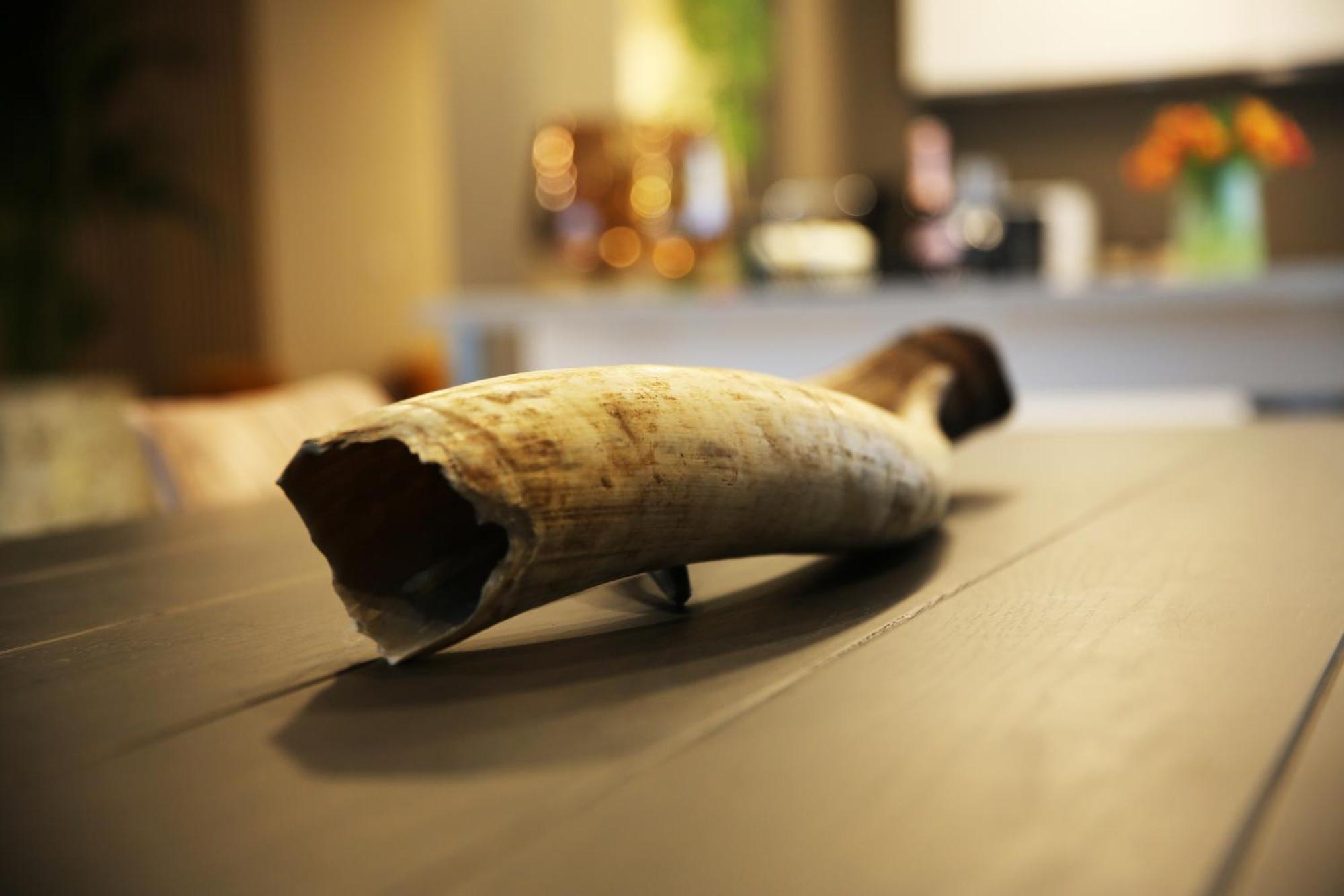 L'Appart Baobab, Avec Sauna Liege Ngoại thất bức ảnh